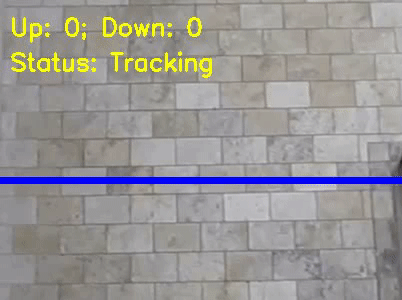 Tensorflow cumulative object counting example