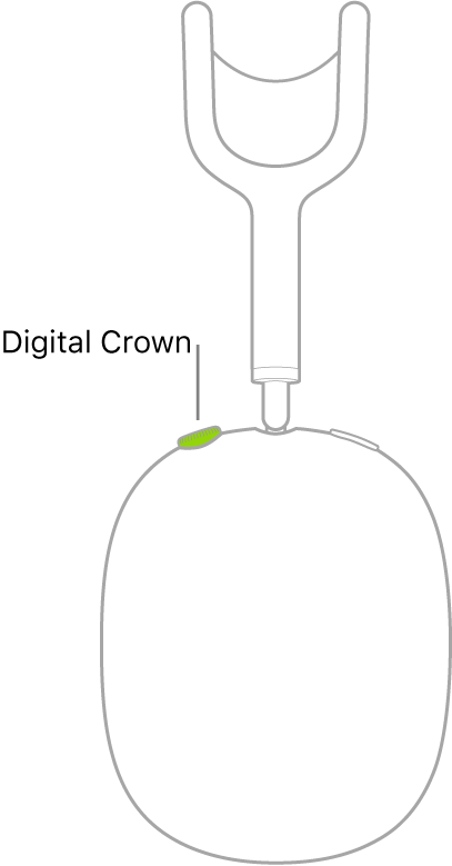Une illustration montrant l’emplacement de la couronne Digital Crown sur la partie droite des AirPods Max.