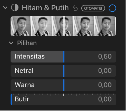 Area Hitam & Putih pada panel Sesuaikan menampilkan penggeser untuk Intensitas, Netral, Warna, dan Butir.