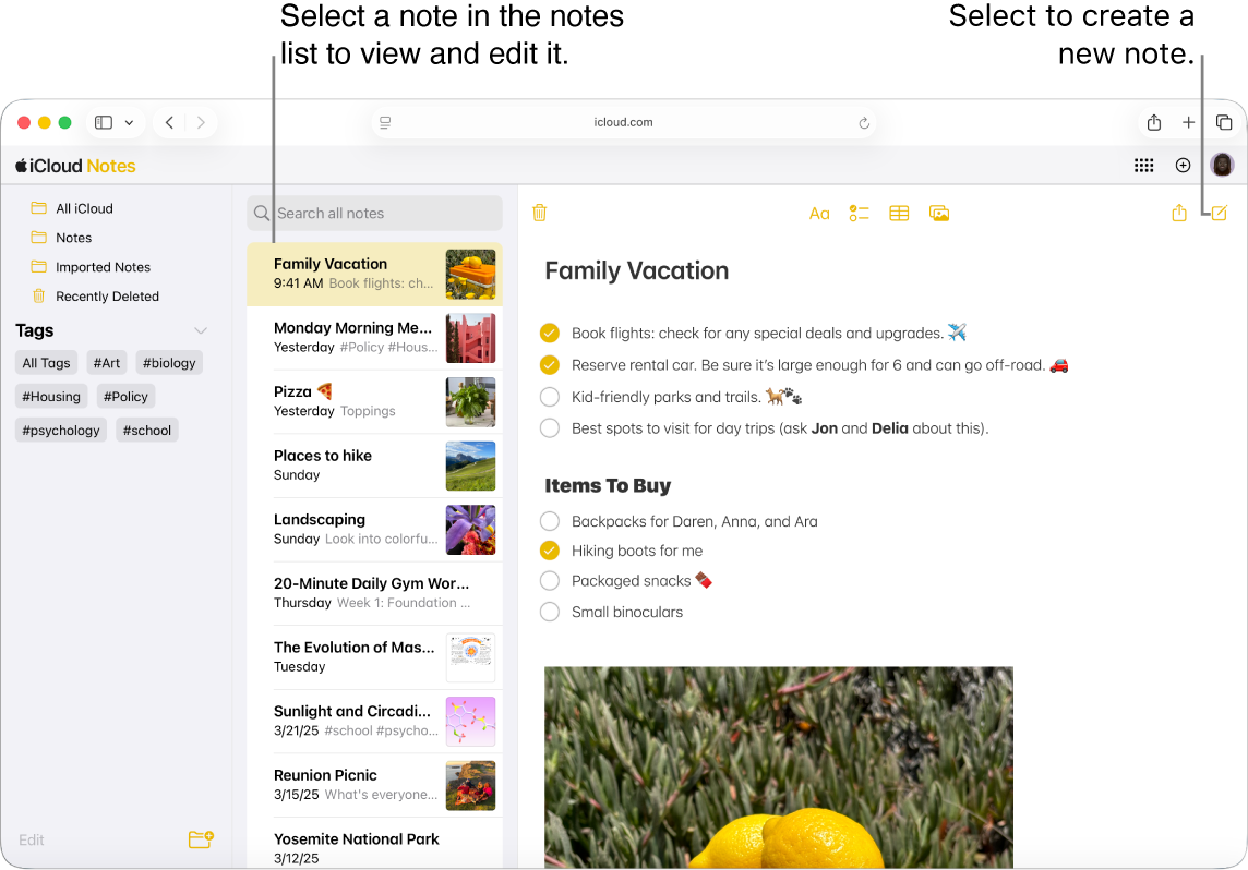 Une note ouverte sur iCloud.com, avec plusieurs notes dans une barre latérale, et une note ouverte à droite de la barre latérale.