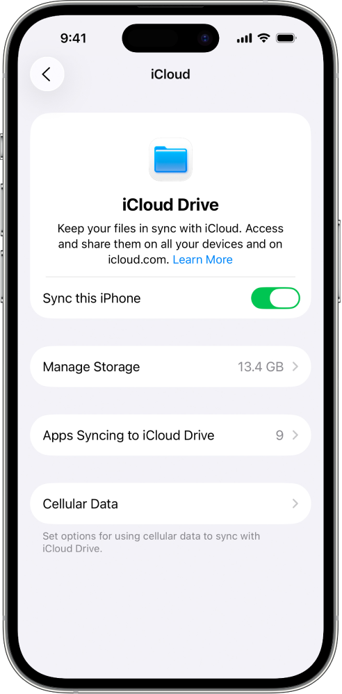 Layar iCloud Drive di pengaturan iCloud. Selaraskan iPhone ini dinyalakan.