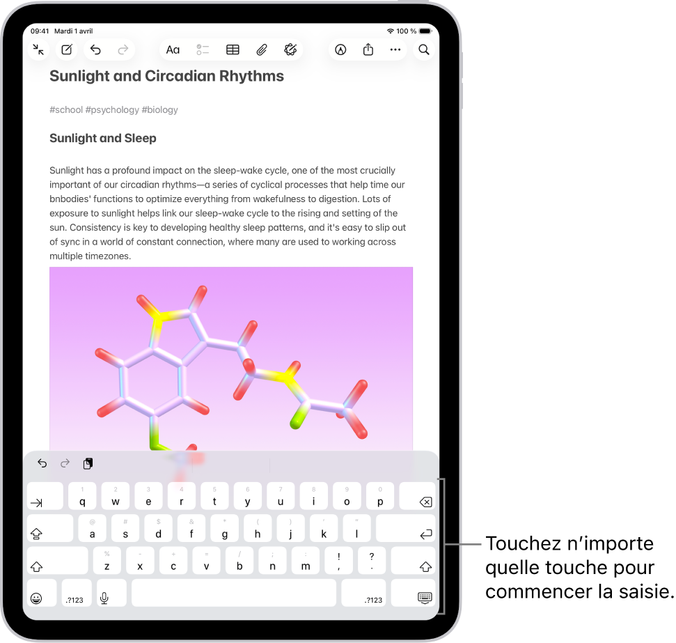 Un document est ouvert dans l’app Notes. Le clavier à l’écran se trouve dans la partie inférieure de l’écran.