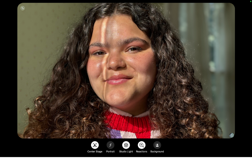 A FaceTime window showing a participant. Across the bottom of the window are video effect buttons: Center Stage, Portrait, Light, Reactions, and Background.