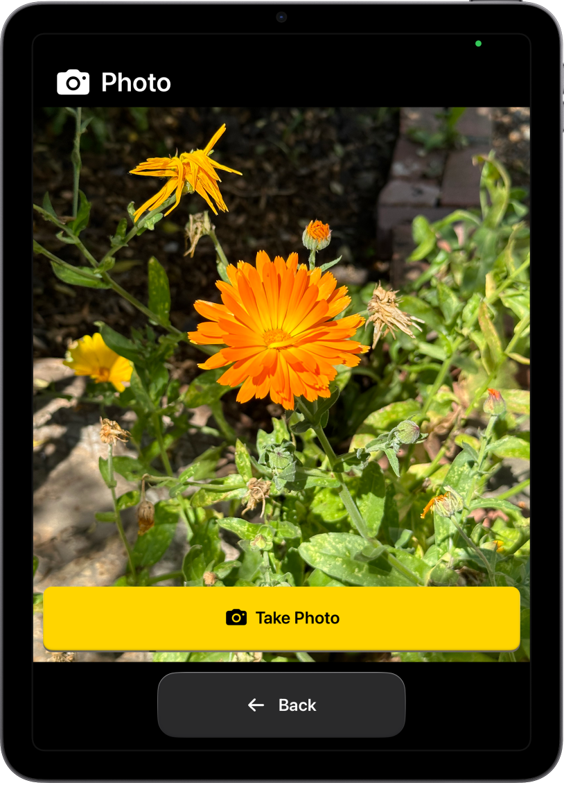An iPad in Assistive Access showing the Camera app open with one large button for taking a photo and another large button for going back to the previous screen.