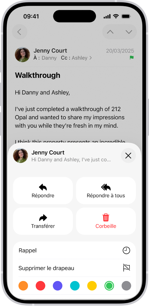 Un message montrant des options de réponse dans la moitié inférieure de l’écran, y compris le bouton « Sans drapeau » et les choix de couleur des drapeaux.