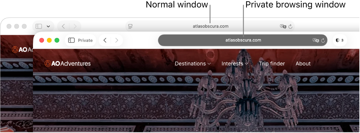 A private Safari window with its dark Smart Search field, and a normal Safari window with its light Smart Search field.