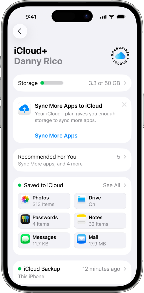 The Settings screen with iCloud features turned on.