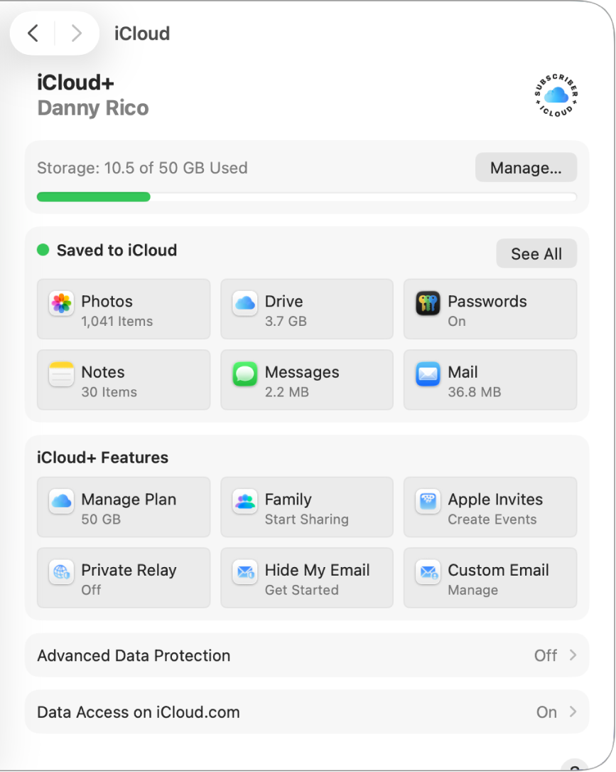 Fereastra Configurări sistem, cu funcționalitățile iCloud selectate.