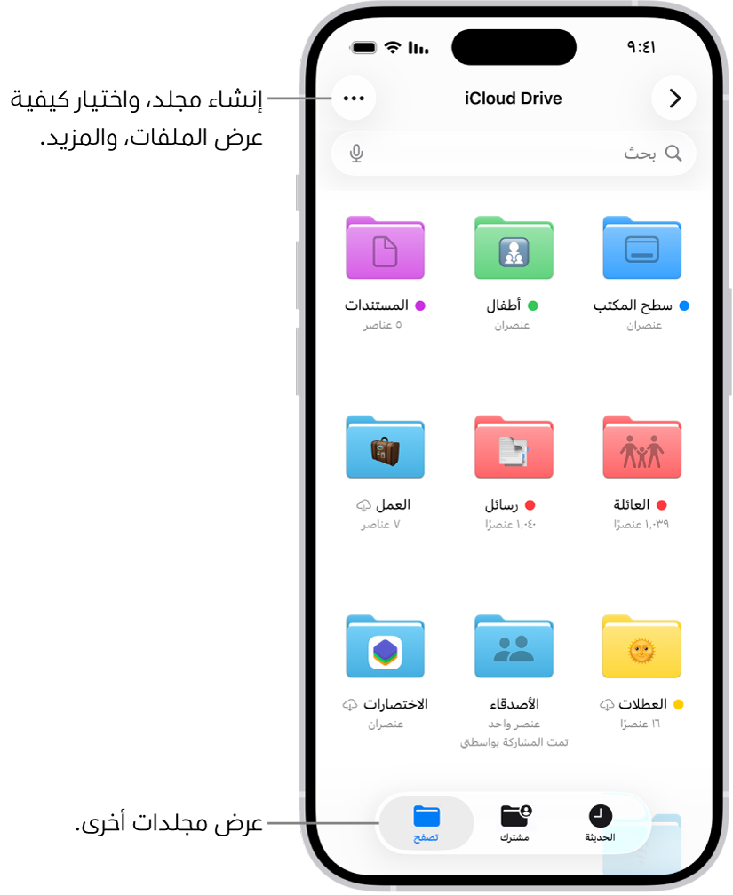تطبيق الملفات تظهر به ملفات ومجلدات في iCloud Drive. قائمة المزيد تظهر بها خيارات لتحديد عناصر وإنشاء مجلد جديد ومسح المستندات ضوئيًا والاتصال بالخادم. يظهر أسفلها خيارات لعرض العناصر على الشاشة على شكل أيقونات أو قائمة. فس الأسفل تظهر خيارات الفرز حسب الاسم والنوع والتاريخ والحجم والوسوم يليها خيارات العرض.