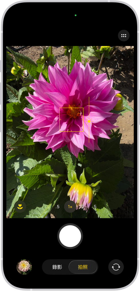 「相機」已打開進入「拍照」模式。在觀景窗中,焦點鎖定在主體上,主題旁邊顯示可調整亮度的滑桿。