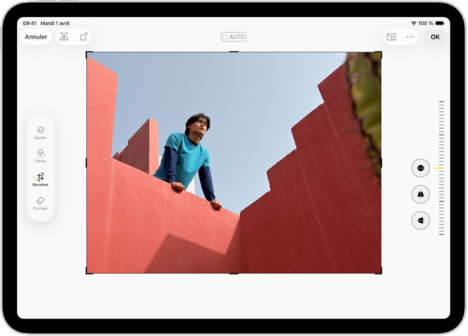 L’écran Modifier dans l’app Photos avec une photo au centre. Sur le côté gauche de l’écran se trouvent les boutons Ajuster, Filtres et Recadrer ; le bouton Recadrer est sélectionné. Sur le côté droit de l’écran se trouvent les options d’amélioration du recadrage et un curseur permettant d’ajuster le niveau de l’effet.