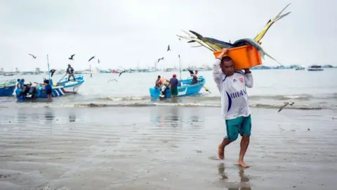 Man on beach carries fish in box on his shoulder
