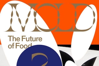 Mold Magazine by LinYee Yuan