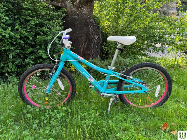 Side view of Guardian 20Inch Small Bike a blue manual bike upright in the grass with trees in the distance