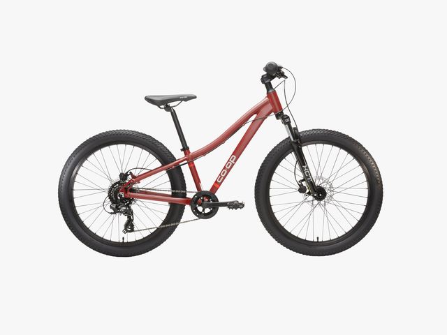 Image may contain Bicycle Mountain Bike Transportation Vehicle Machine and Wheel