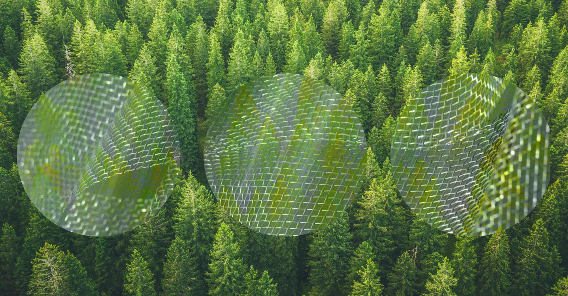 MWCapital AWARDS — Call for Applications