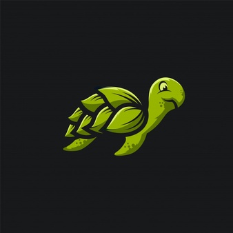 Turtle-Project